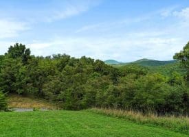 Cardinal Ridge Estates