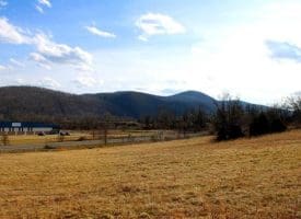 7.92 Acres McMullen Hwy, Cresaptown, MD  21502