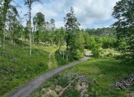 686.10 Acres Thorn Bottom Rd., Wardensville, WV  26851