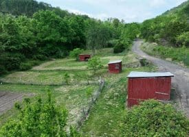 686.10 Acres Thorn Bottom Rd., Wardensville, WV  26851