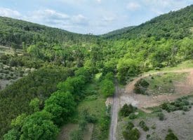 686.10 Acres Thorn Bottom Rd., Wardensville, WV  26851