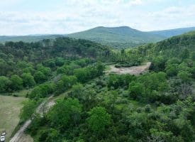 686.10 Acres Thorn Bottom Rd., Wardensville, WV  26851