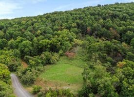 Cardinal Ridge Estates