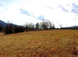 7.92 Acres McMullen Hwy, Cresaptown, MD  21502
