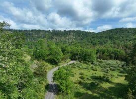 686.10 Acres Thorn Bottom Rd., Wardensville, WV  26851