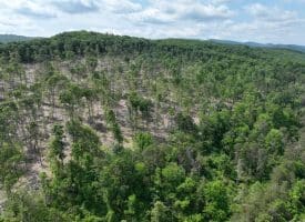 686.10 Acres Thorn Bottom Rd., Wardensville, WV  26851