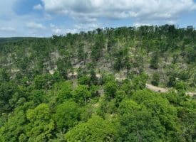 686.10 Acres Thorn Bottom Rd., Wardensville, WV  26851