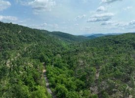 686.10 Acres Thorn Bottom Rd., Wardensville, WV  26851