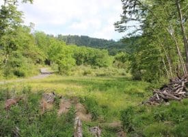 686.10 Acres Thorn Bottom Rd., Wardensville, WV  26851