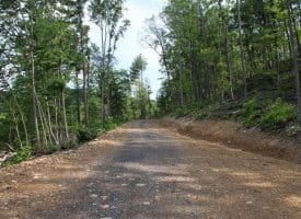 686.10 Acres Thorn Bottom Rd., Wardensville, WV  26851