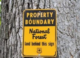 686.10 Acres Thorn Bottom Rd., Wardensville, WV  26851