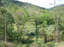 686.10 Acres Thorn Bottom Rd., Wardensville, WV  26851