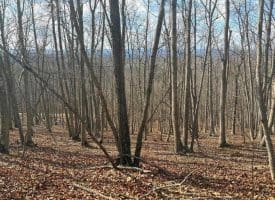 Lot 13-A Beam Rd., Romney, WV  26757