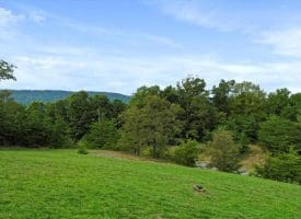 Cardinal Ridge Estates