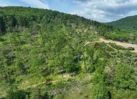 686.10 Acres Thorn Bottom Rd., Wardensville, WV  26851