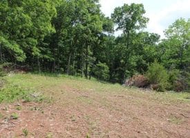 686.10 Acres Thorn Bottom Rd., Wardensville, WV  26851