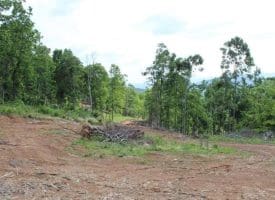 686.10 Acres Thorn Bottom Rd., Wardensville, WV  26851