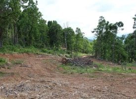 686.10 Acres Thorn Bottom Rd., Wardensville, WV  26851