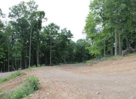686.10 Acres Thorn Bottom Rd., Wardensville, WV  26851