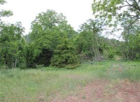 686.10 Acres Thorn Bottom Rd., Wardensville, WV  26851