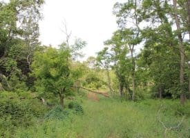 686.10 Acres Thorn Bottom Rd., Wardensville, WV  26851