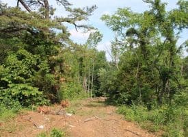 686.10 Acres Thorn Bottom Rd., Wardensville, WV  26851