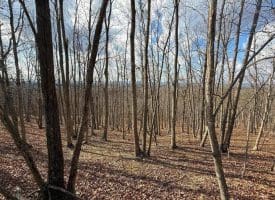 Lot 13-A Beam Rd., Romney, WV  26757