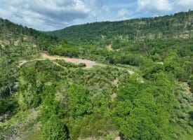 686.10 Acres Thorn Bottom Rd., Wardensville, WV  26851