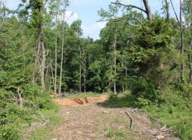 686.10 Acres Thorn Bottom Rd., Wardensville, WV  26851