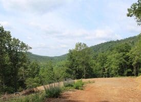 686.10 Acres Thorn Bottom Rd., Wardensville, WV  26851
