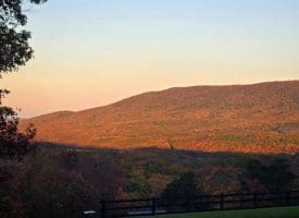 3688 Ash Ruckman Rd., Augusta, WV  26704