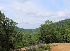 686.10 Acres Thorn Bottom Rd., Wardensville, WV  26851