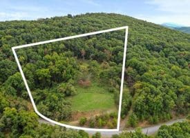 Cardinal Ridge Estates