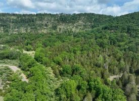 686.10 Acres Thorn Bottom Rd., Wardensville, WV  26851