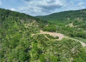 686.10 Acres Thorn Bottom Rd., Wardensville, WV  26851