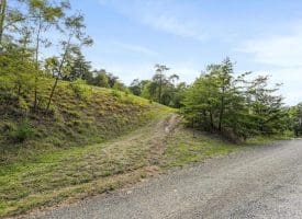 Cardinal Ridge Estates