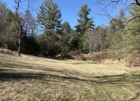 98.43 AC Parker Hollow Rd., Lost River, WV  26810