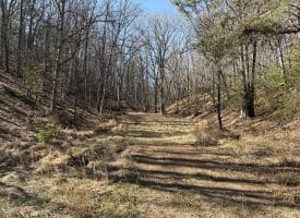 98.43 AC Parker Hollow Rd., Lost River, WV  26810