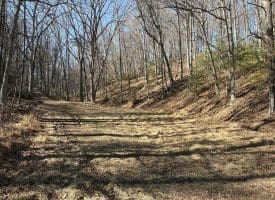 98.43 AC Parker Hollow Rd., Lost River, WV  26810