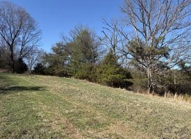 98.43 AC Parker Hollow Rd., Lost River, WV  26810