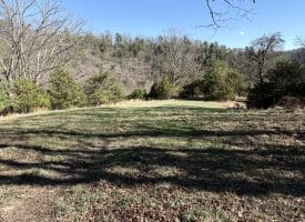 98.43 AC Parker Hollow Rd., Lost River, WV  26810