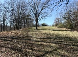 98.43 AC Parker Hollow Rd., Lost River, WV  26810