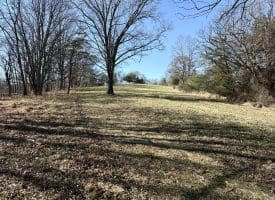 98.43 AC Parker Hollow Rd., Lost River, WV  26810