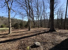 98.43 AC Parker Hollow Rd., Lost River, WV  26810
