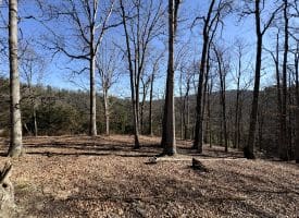 98.43 AC Parker Hollow Rd., Lost River, WV  26810
