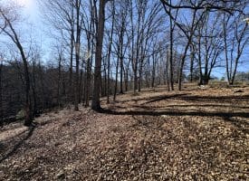 98.43 AC Parker Hollow Rd., Lost River, WV  26810
