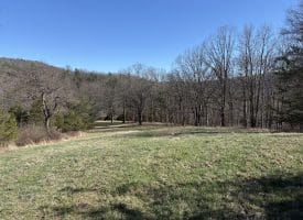 98.43 AC Parker Hollow Rd., Lost River, WV  26810