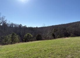 98.43 AC Parker Hollow Rd., Lost River, WV  26810