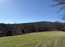 98.43 AC Parker Hollow Rd., Lost River, WV  26810