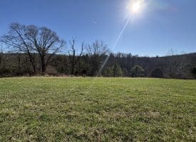 98.43 AC Parker Hollow Rd., Lost River, WV  26810